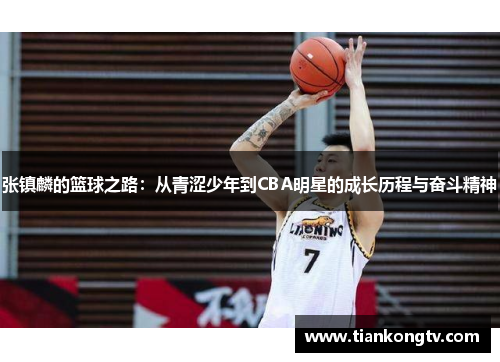 张镇麟的篮球之路：从青涩少年到CBA明星的成长历程与奋斗精神